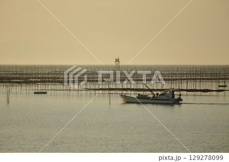 大牟田市 有明海 海苔畑、 大牟田市 有明海 海苔畑、 129278099