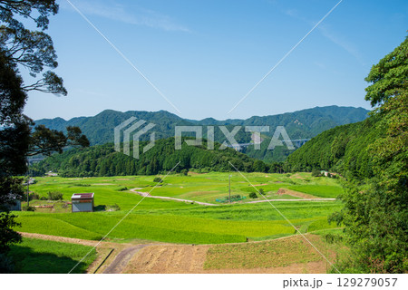 夏の坂本棚田（三重県 亀山市） 129279057