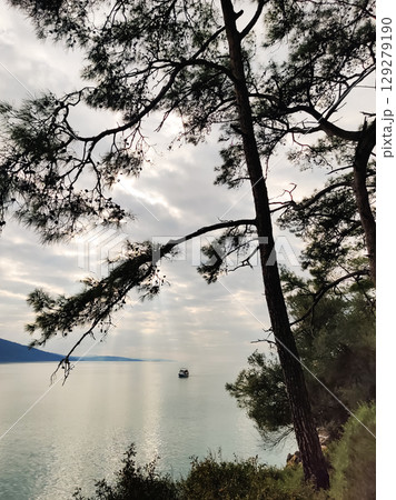 beautiful landscape of the sea and big trees 129279190