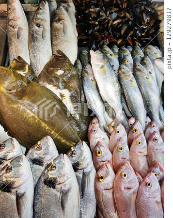 many different fresh seafood fish on the counter in the store many different fresh seafood fish on the counter in the store 129279817