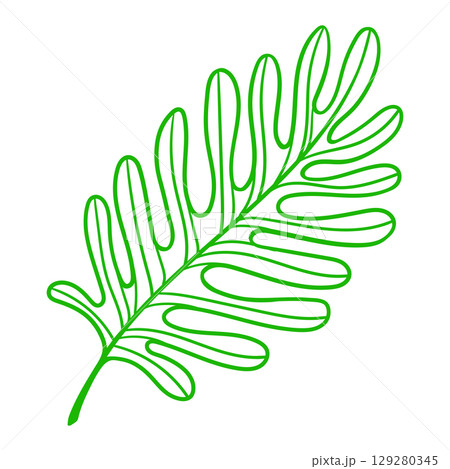 Linear palm leaf. Decorative image of tropical foliage and plant. 129280345