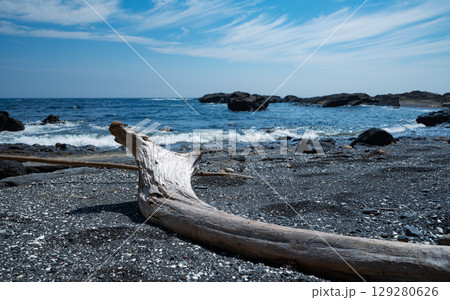 城ヶ島の海岸に打ち付ける波 129280626