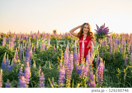 beautiful girl in a red dress with a bouquet of lupine flowers in the field beautiful girl in a red dress with a bouquet of lupine flowers in the field 129280746