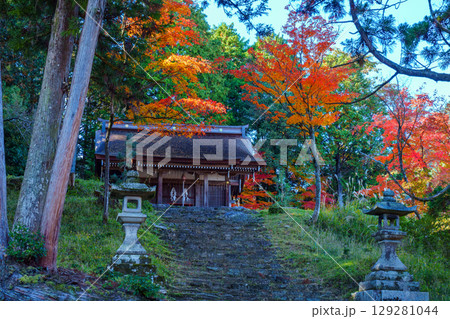秋の日吉大社 早尾神社 秋の日吉大社 早尾神社 129281044
