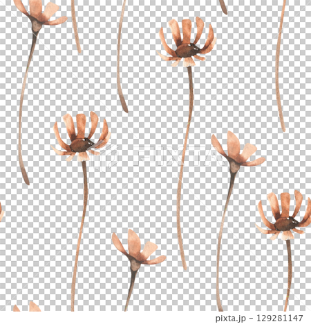 Floral seamless pattern with dry petal flowers in beige and pink colors watercolor illustration.Hand drawn wild field floral elements background for romantic and girlish textile,fabric,festive design 129281147