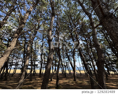避暑地　軽井沢　湖と木　日本の絶景 129281489