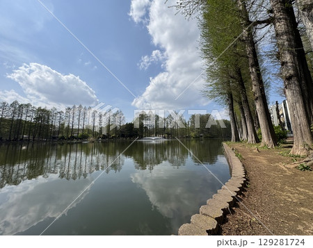 水元公園　軽井沢　日本の避暑地　 129281724