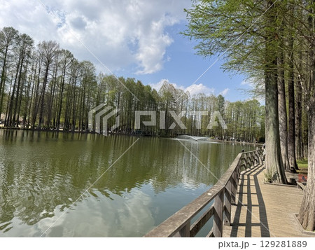 水辺の公園 軽井沢 水辺の公園 軽井沢 129281889