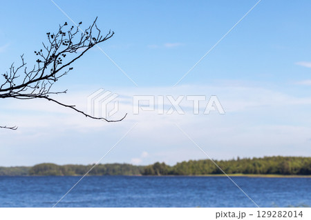Serene Lake View with Branch Silhouette Against Blue Sky Serene Lake View with Branch Silhouette Against Blue Sky 129282014