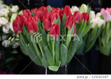 Beautiful fresh cut red tulips at the flower garden shop in spring. Horizontal. Close-up. 129282397