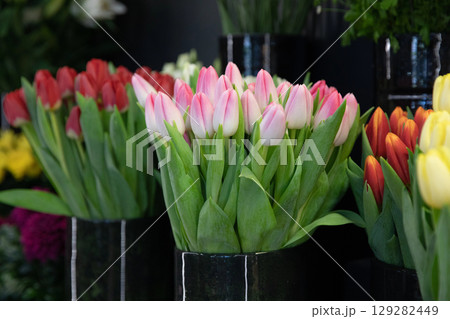 Beautiful fresh cut pink tulips at the flower garden shop in spring. Horizontal. Selective focus. Close-up. Beautiful fresh cut pink tulips at the flower garden shop in spring. Horizontal. Selective focus. Close-up. 129282449