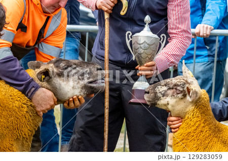 The award ceremony at an Agricultural Show The award ceremony at an Agricultural Show 129283059