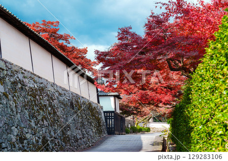 紅葉のある滋賀院門跡の道 紅葉のある滋賀院門跡の道 129283106