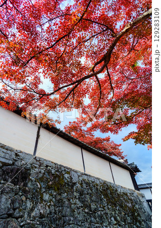 紅葉のある滋賀院門跡の道 129283109
