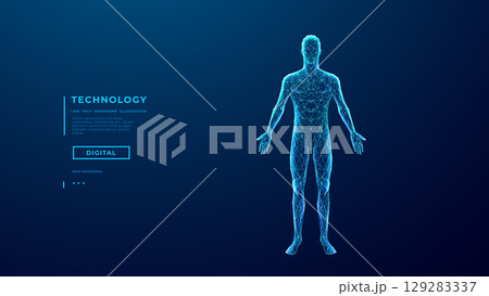 Abstract human body. Wireframe polygonal man silhouette 129283337