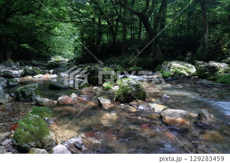 小田深山渓谷 夏の五色河原 (愛媛県 内子町) 小田深山渓谷 夏の五色河原 (愛媛県 内子町) 129283459