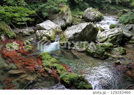 深山の赤石　小田深山渓谷　(愛媛県　内子町） 129283460