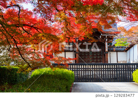 紅葉に包まれた滋賀院門跡の勅使門 129283477