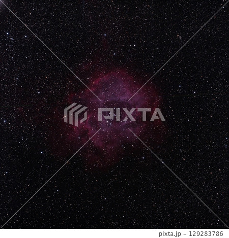 バラ星雲NGC2244 129283786