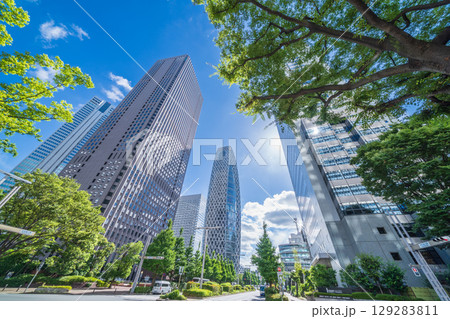 「東京都」緑に囲まれた西新宿ビル群の風景 新宿区 「東京都」緑に囲まれた西新宿ビル群の風景 新宿区 129283811