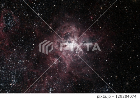 NGC2070タランチュラ星雲 NGC2070タランチュラ星雲 129284074