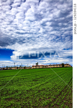 生活と自然が調和する春の風景 129284118