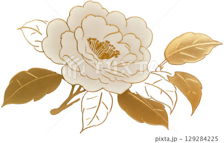 金色の葉の白い牡丹の花 129284225