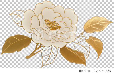 金色の葉の白い牡丹の花 129284225