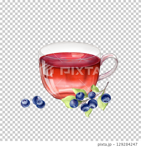 Hand-drawn illustration of a glass cup filled with berry tea, accompanied by a sprig of ripe blueberries and a few loose berries. 129284247
