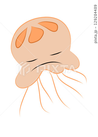 カラフルなクラゲ 129284489