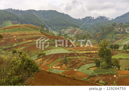 Terraced Farmland Above City Hillside View 129284750