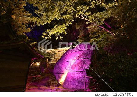 岡山後楽園幻想庭園 岡山後楽園幻想庭園 129284806