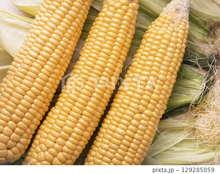 Fresh corn heads lie on corn leaves and corn silk on the table after cleaning, close up. Preparing corn for cooking. Natural food, healthy nutrition, yellow kernels, organic vegetable 129285059
