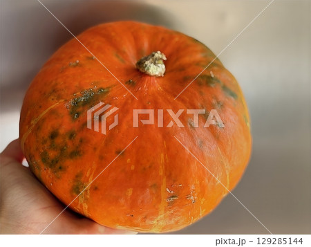 Pumpkin held in hand glowing in sunbeams. Autumn harvest and healthy seasonal food. Halloween theme 129285144