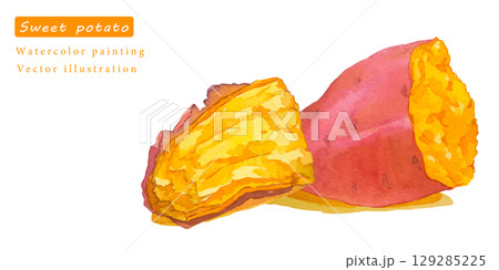 水彩で描いたさつまいものベクターイラスト 129285225