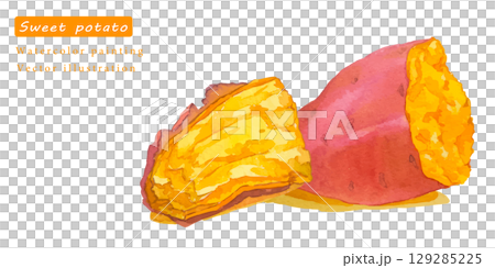 水彩で描いたさつまいものベクターイラスト 129285225
