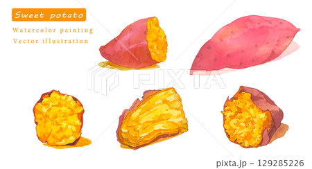 水彩で描いたさつまいものベクターイラスト 129285226