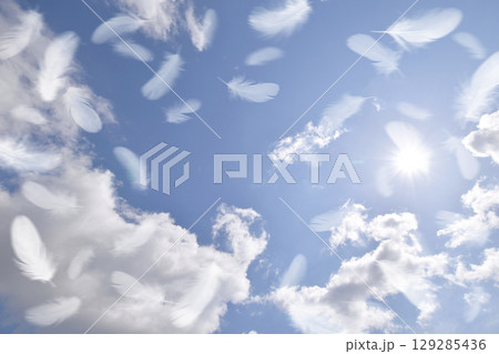 青空にふわふわと舞い上がる、白い鳥の羽 129285436