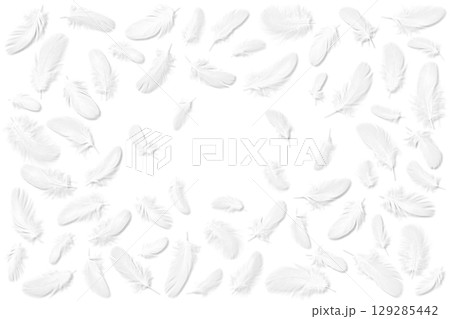 ふわふわ白い鳥の羽、キリヌキ素材 ふわふわ白い鳥の羽、キリヌキ素材 129285442