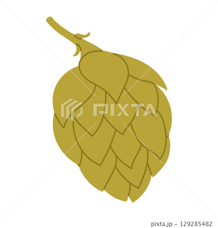 Green hop cone. Flat vector isolated illustration Green hop cone. Flat vector isolated illustration 129285482