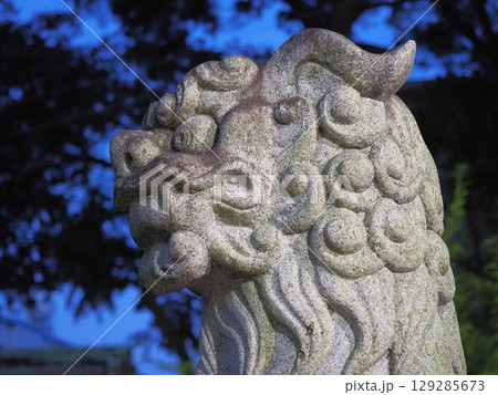 早朝の静けさの中の神社の狛犬 早朝の静けさの中の神社の狛犬 129285673