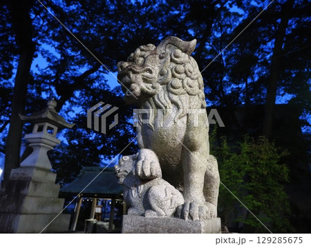 早朝の静けさの中の神社の狛犬 早朝の静けさの中の神社の狛犬 129285675