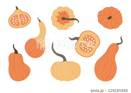 Colorful hand drawn pumpkins and gourds collection Colorful hand drawn pumpkins and gourds collection 129285888