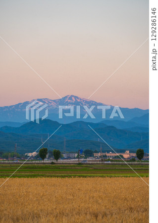 夕焼けに染まる白山と麦畑 6月撮影 石川県・加賀平野 夕焼けに染まる白山と麦畑 6月撮影 石川県・加賀平野 129286146