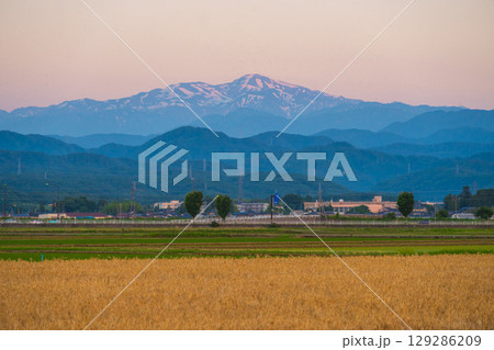 夕焼けに染まる白山と麦畑　6月撮影　石川県・加賀平野 129286209