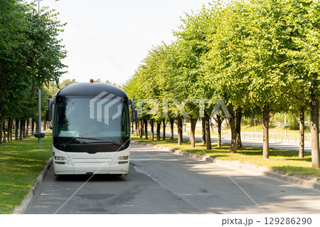 Modern coach bus parked on tree-lined street 129286290