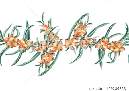 Seamless border with branches of ripe juicy sea buckthorn. Isolated watercolor illustration for design of seasonal menu, kitchenware and textiles, printing on posters and postcards. 129286838