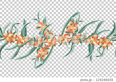 Seamless border with branches of ripe juicy sea buckthorn. Isolated watercolor illustration for design of seasonal menu, kitchenware and textiles, printing on posters and postcards. 129286838