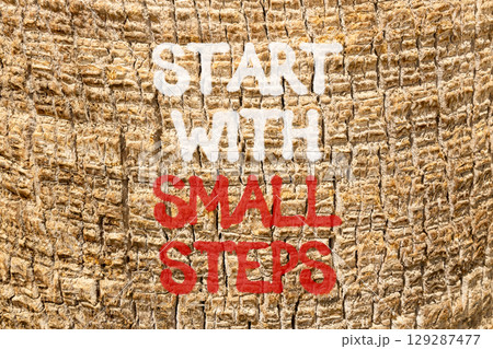 Start with small steps symbol. Concept words phrase Start with small steps on beautiful palm tree bark. Beautiful palm tree bark background. Business Start with small steps concept. Copy space. 129287477