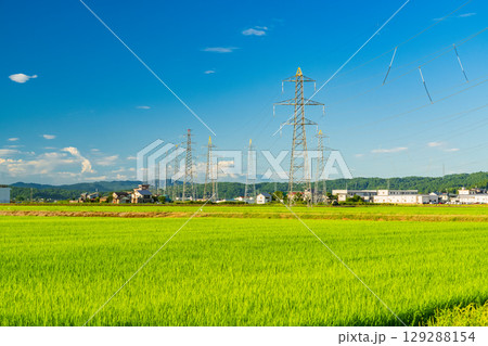 《新潟県》田園風景に立つ送電線 《新潟県》田園風景に立つ送電線 129288154